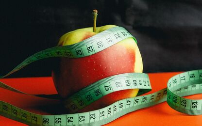 Bild: Pixabay/ StockSnap